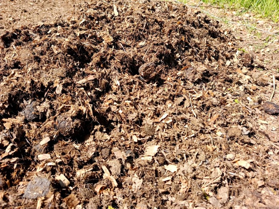 Obornik, koński nawóz