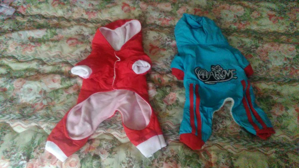 2 fatos  impermiaveis novos embalados, nunca usados para chiuaua