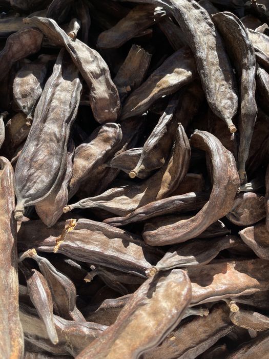 Venda de Alfarroba do Alentejo (sacos de 15kg)