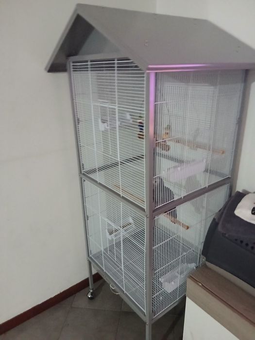 Vendo gaiola ...