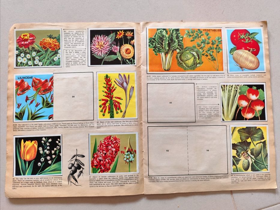 Lote de 6 Cadernetas de Cromos antigas