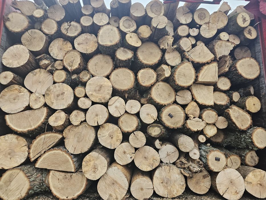 Продам дрова оптом