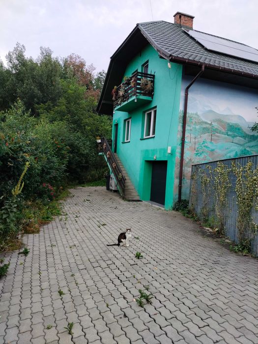 Dom do wynajęcia w Gruszowie