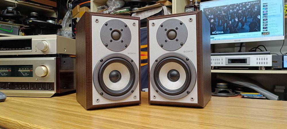 Акустика SONY SS - CSP 55 (Рв.)