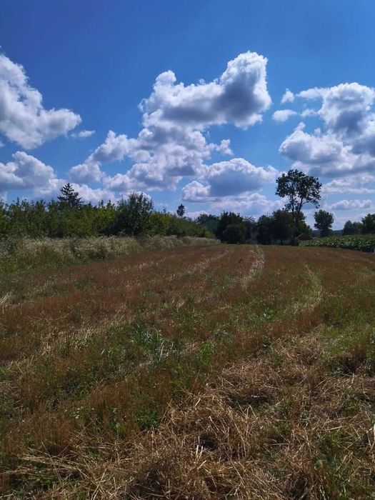 Земельна ділянка Ружичанка вул Центральна