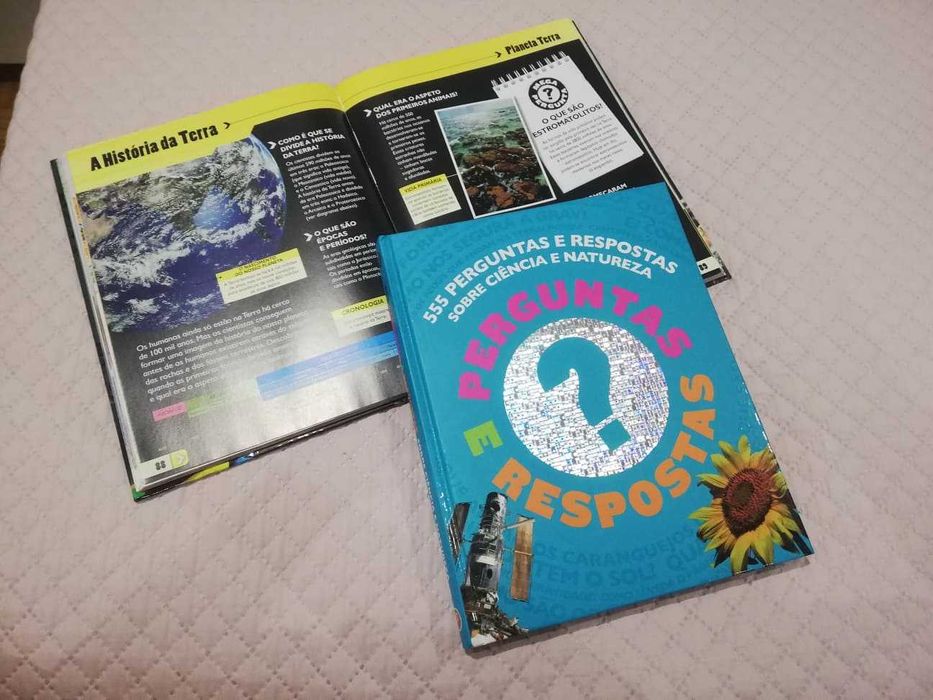 555 Perguntas e Respostas (Novos)