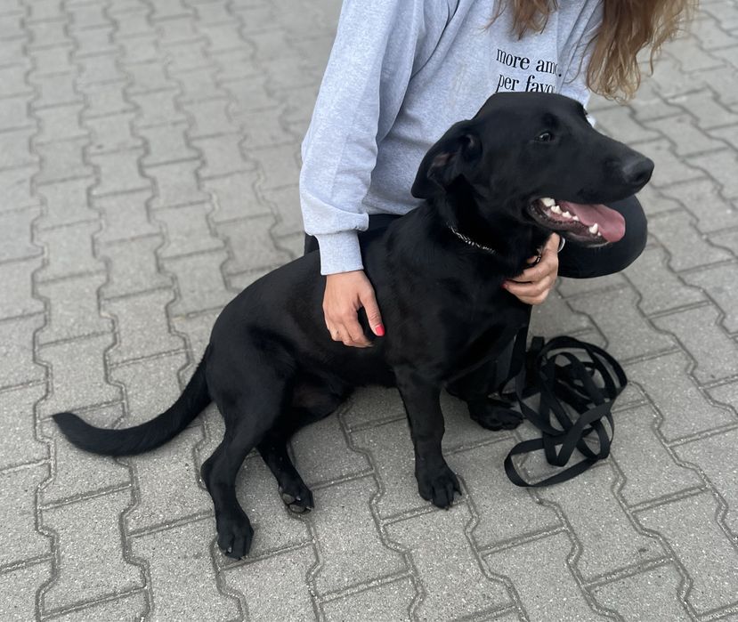 Batman szuka swojego człowieka.