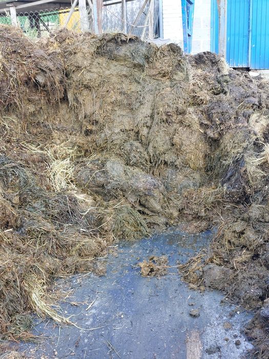 Obornik bydlęcy krowi dostawy 25 ton