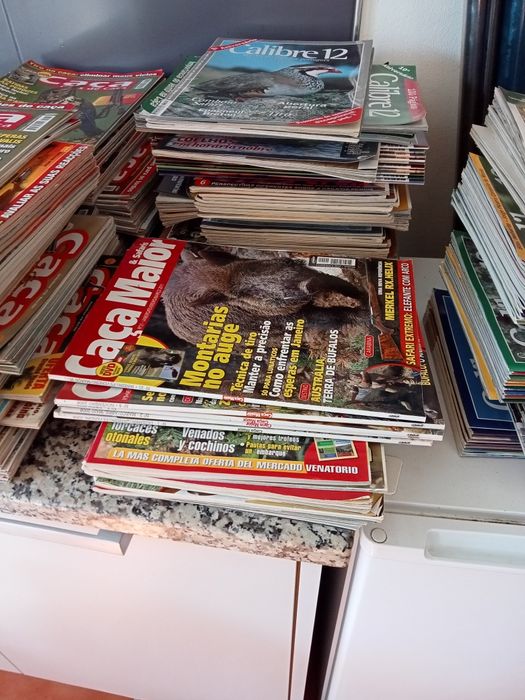Conjunto de revistas de caça