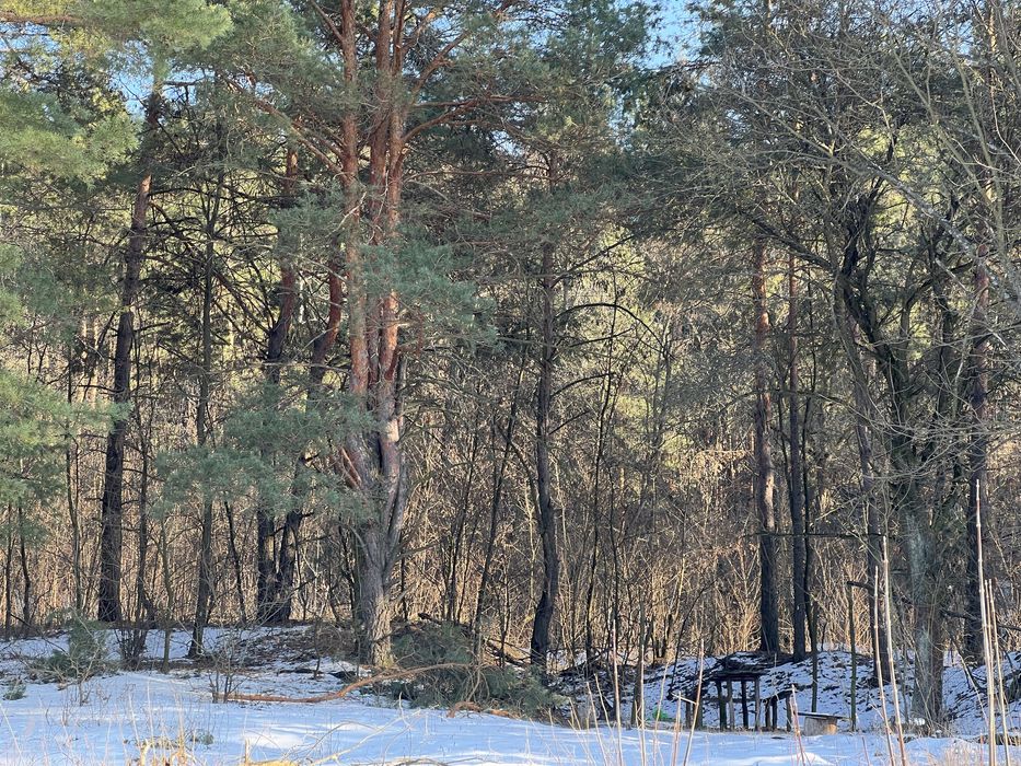 Земля 6гек Пуховка начало Лес свет газ асфальт интернет