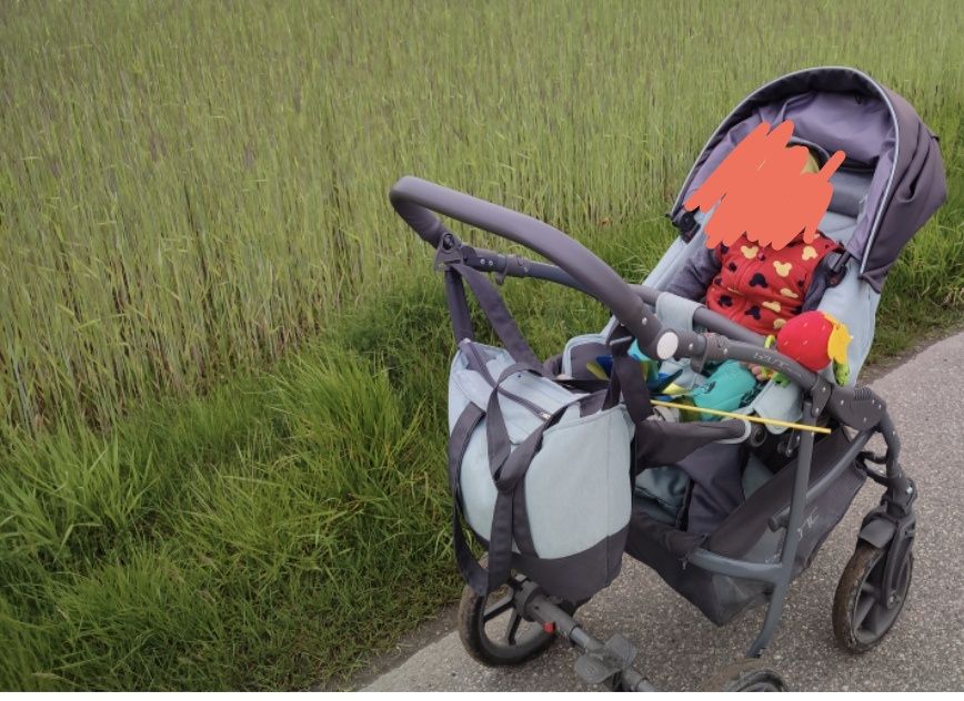 Wózek Rico 2w1 spacerówka/gondola