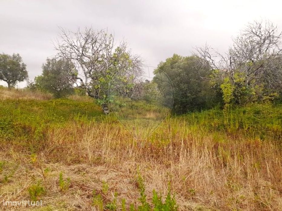 Terreno  para venda