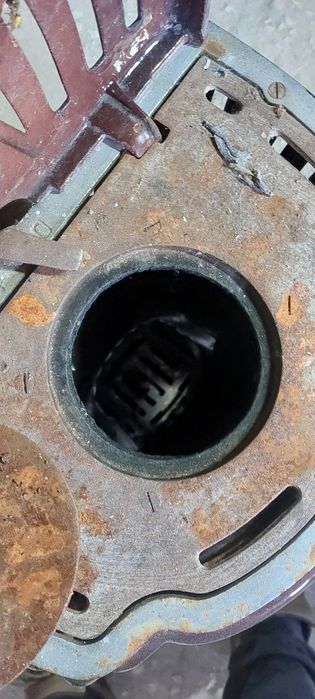 Vendo Salmandra Delta