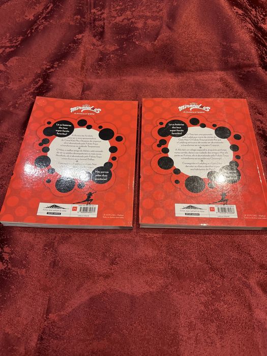 Dois livros como novos