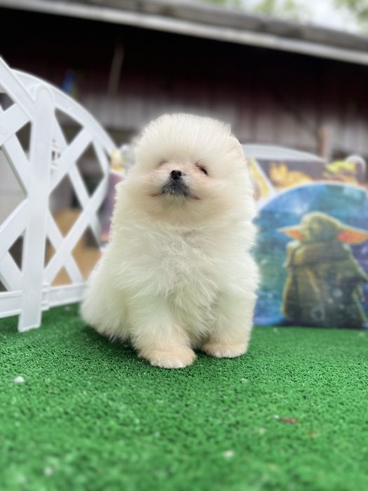 Яскравий хлопчик