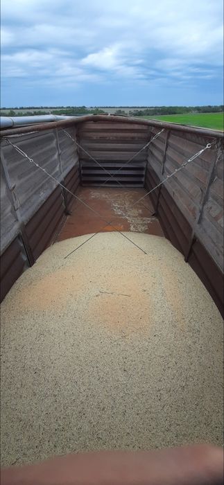 Бдф, BDF, контейнер, кузов, зерновоз