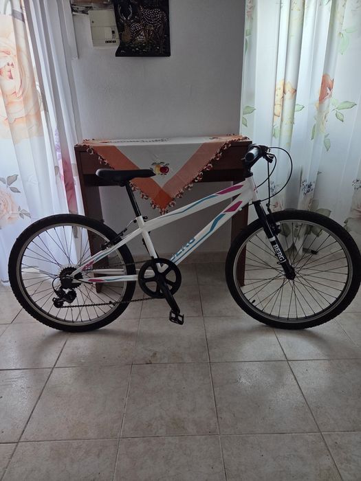 Bicicleta berg 24"