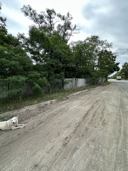 Земля для бізнесу