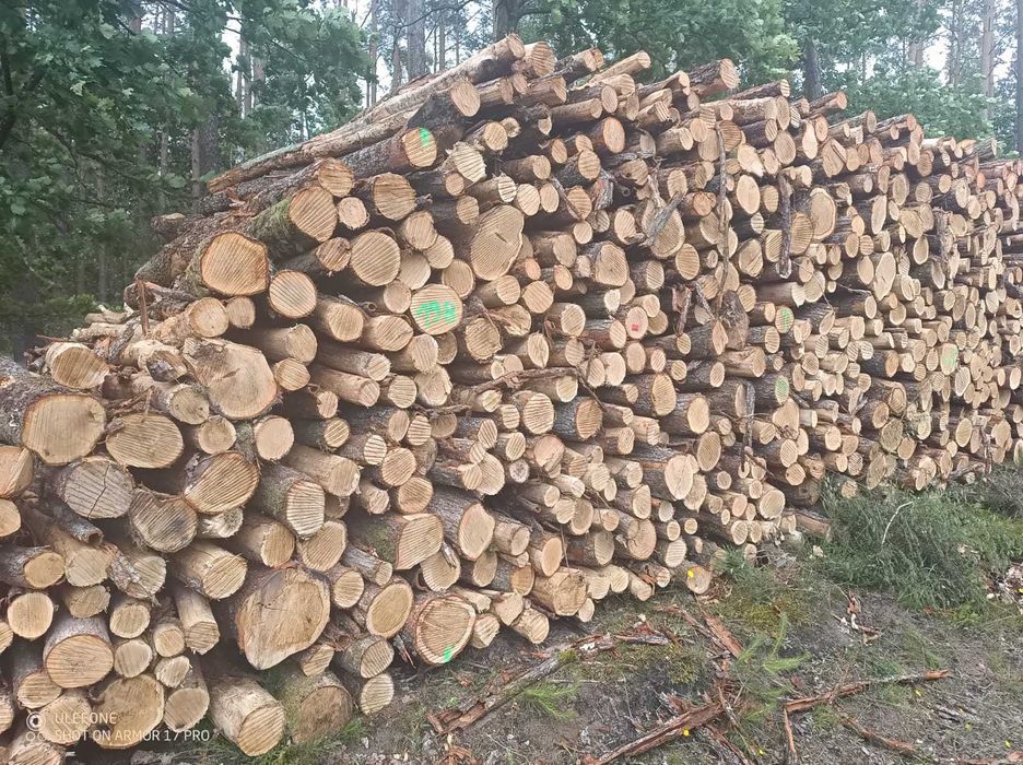 Drewno kominkowe dab buk