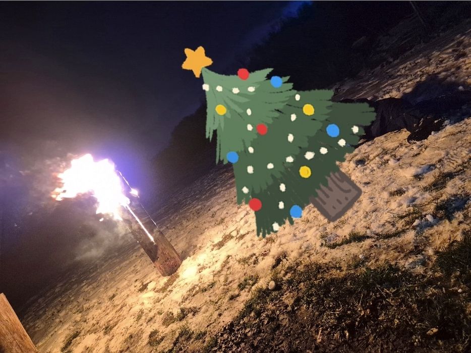Pochodnia ,pieniek sosnowy , szwedzki ogień Duże 100cm