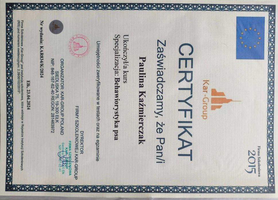 Opieka nad psem, noclegi dla psów