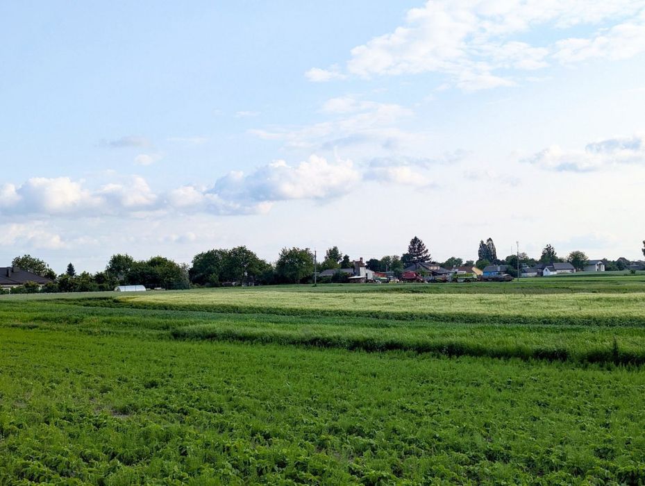 Ділянка Нова Українка під будівництво