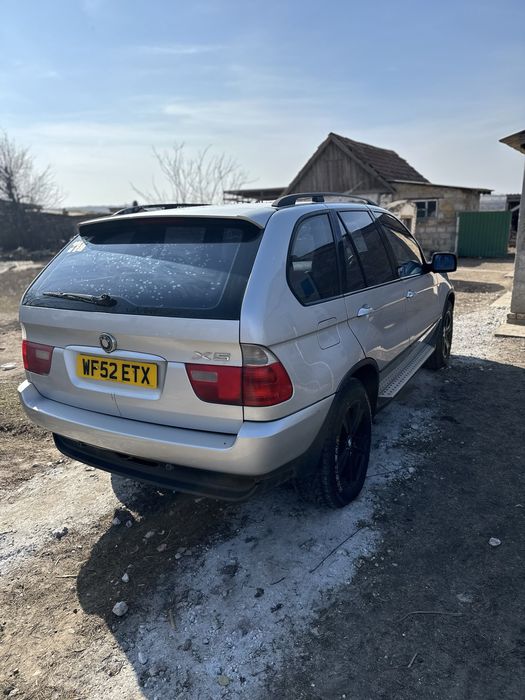 Х5 продається бойовий кінь