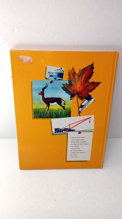 A Minha Primeira Enciclopédia - Verbo Infantil