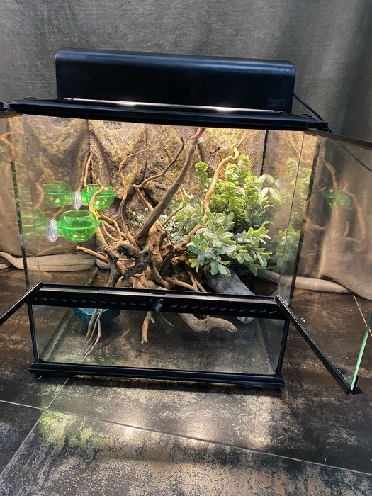 Терраріум та обладнання для хамелеона, гекона, ігуани, пітона, полоза