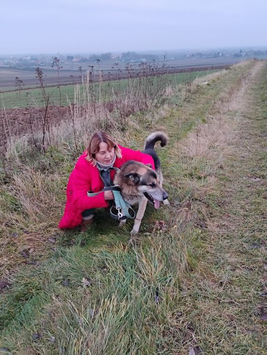 Kochany Ares prosi o własny dom