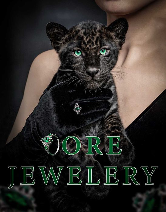 Gestor de trefego |Desenvolvedor de site| Editor de Vídeo Editor de Fo