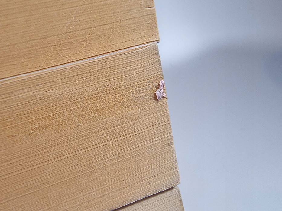 Seria LUX / zestaw 4 książek / Jennifer L. Armentrout