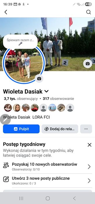 Maltańczyk malutka sunia rodowód ZKWP FCI