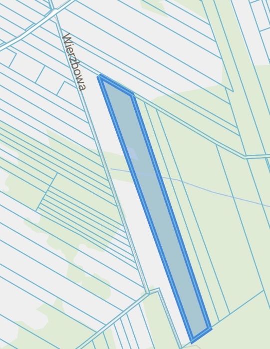 Działka rolno-leśna 2,43 ha | Nowe Wągrodno | 30 km od Warszawy - Widok 2