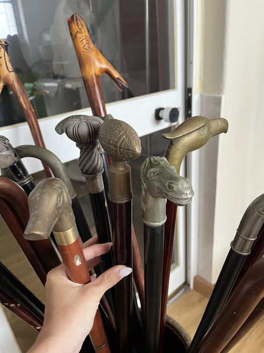 18 bengalas de coleção