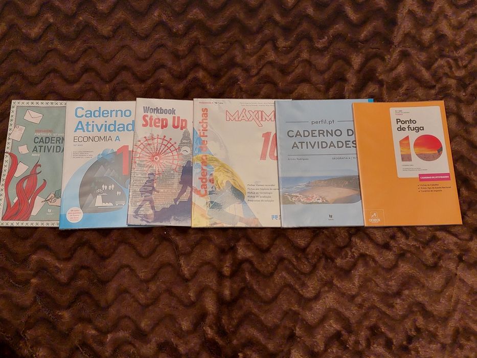 Cadernos de atividades do 5,6,7,8,9,10 ano (usados)