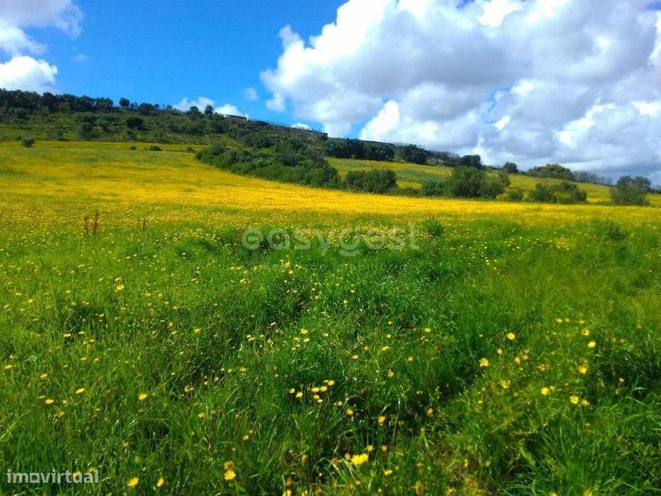 Terreno com 23160m2-situado em limites do Casal do Urmal — Almargem Do Bispo, Pêro Pinheiro E Montelavar, Lisboa