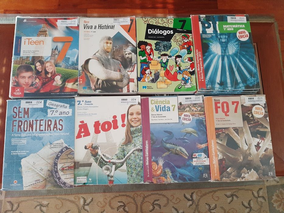 Diversos Manuais/cadernos de actividades do 7° Ano.