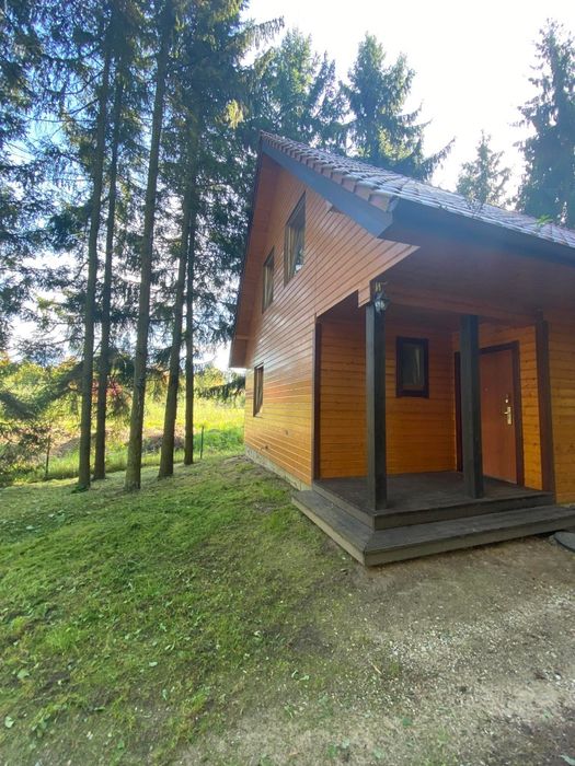 Całoroczny domek nad jeziorem Dadaj z kominkiem i klimatyzacją