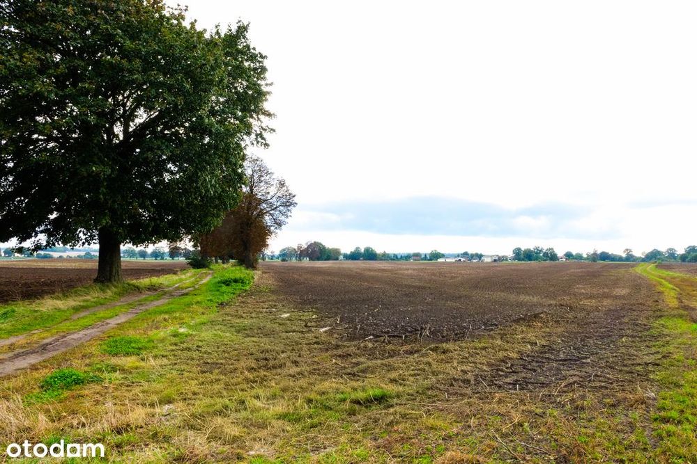 Działka z potencjałem – Sławno | Bobrowiczki