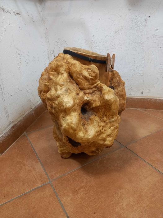 Czeczot Kap,narośl ,rak brzozowy