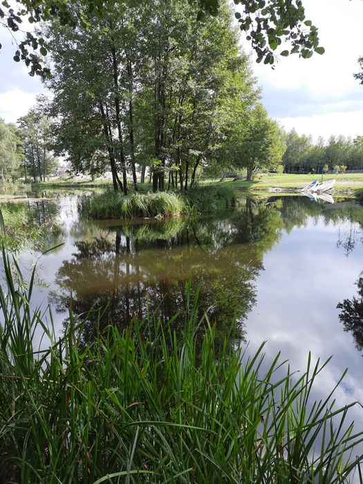 Dom Nad Łowiskiem, i jezioro Powidzkie, domek do wynajęcia łowisko