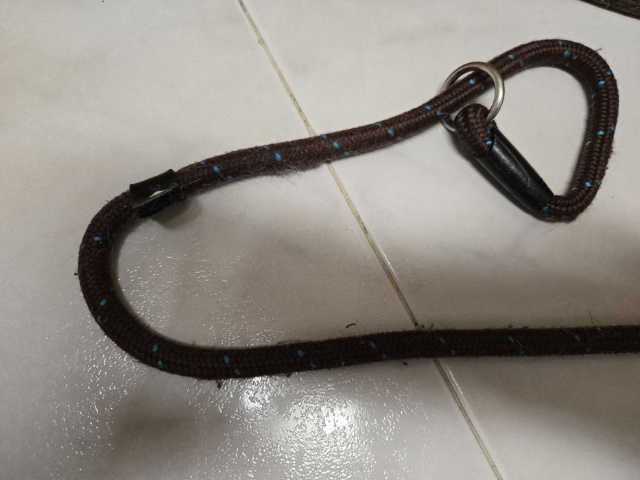 Trela de treino para cães