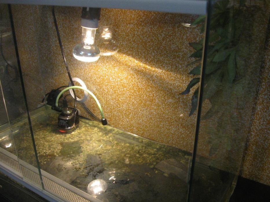 Sprzedam terrarium.