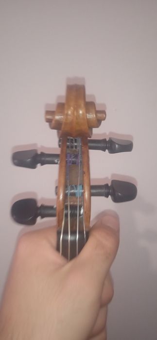 Violino Paolo Leonori