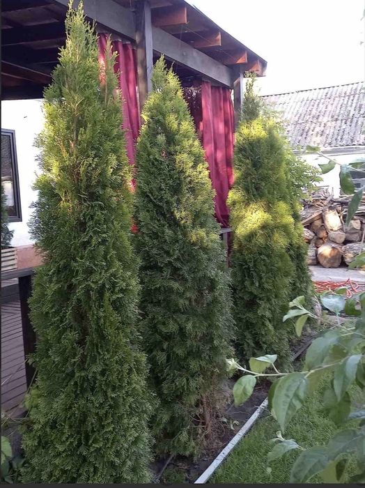 Продам дом с террасой  в Березановке!