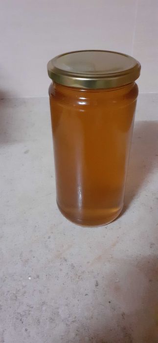 Mel Multifloral  da zona de Arraiolos boa qualidade