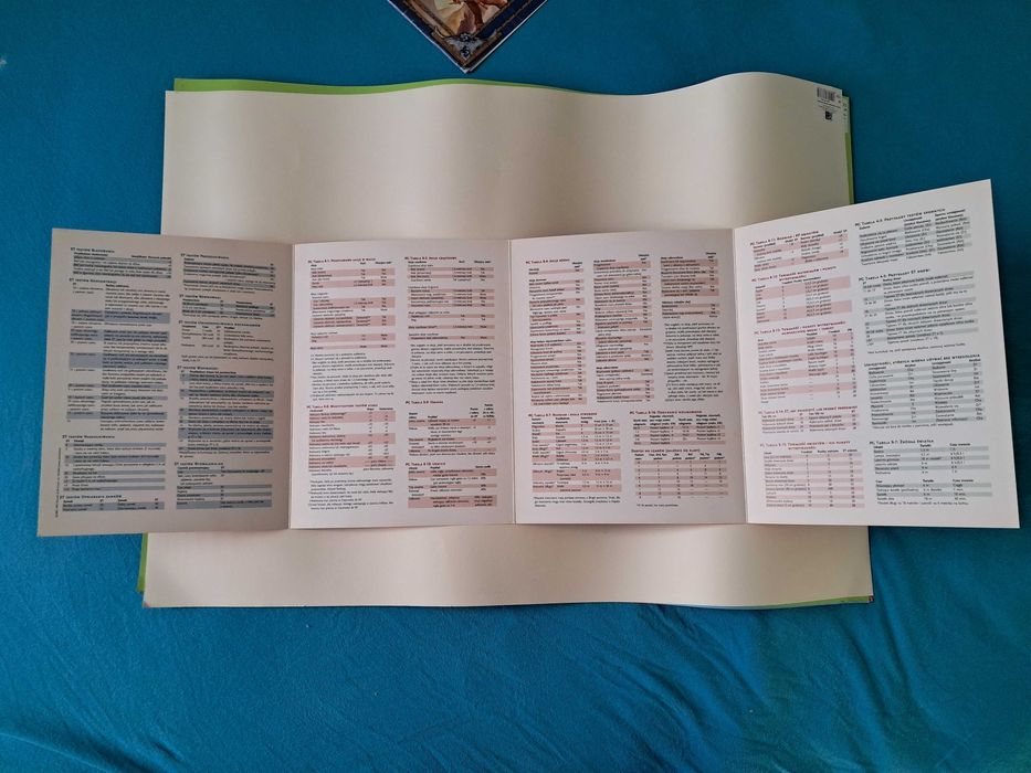 Ekran Mistrza Podziemi Dungeons & Dragons Edycja 3.0/3.5