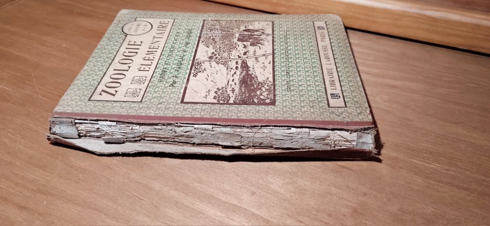 Zoologie Elementaire 1926