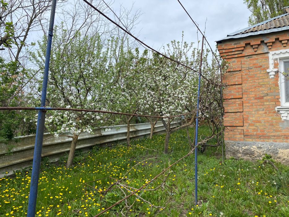 Продаж приватного житла в селі